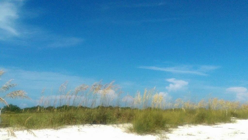 Pag Beachhouse Rentals St. Pete Beach Εξωτερικό φωτογραφία