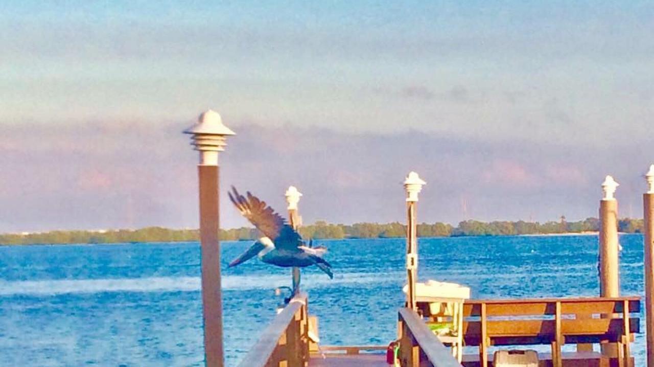 Pag Beachhouse Rentals St. Pete Beach Εξωτερικό φωτογραφία